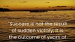 What a man of wisdom said about Success. A brief but meaningful definition of Success#viral #shorts