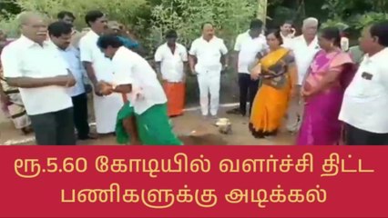 அணைக்கட்டு: வளர்ச்சி திட்ட பணிகளுக்கு அடிக்கல் நாட்டு விழா!
