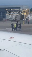 Disruprive passenger causes fight, chaos on plane in shocking viral video