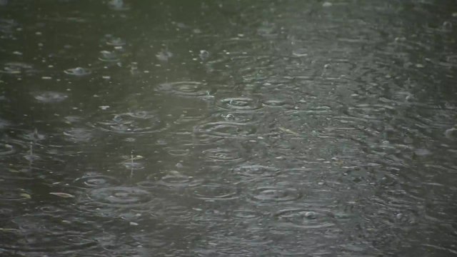 [날씨] 내일 오전까지 전국 장맛비...시간당 30∼70mm 호우 유의 / YTN