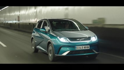 BYD Dolphin SURFBLUEROAD