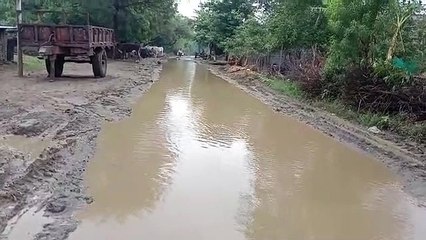 नौगांवा से भाऊगढ़ सड़क खस्ताहाल