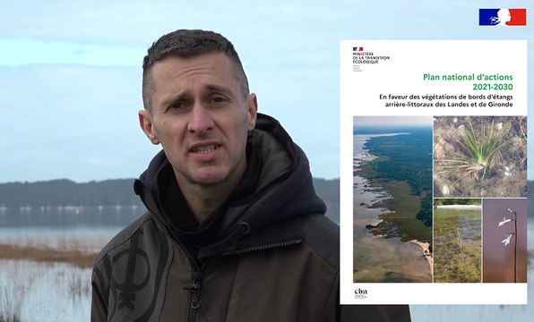 Plan National d'Actions #6 - Les végétations des bords d'étangs arrière-littoraux des Landes et de Gironde