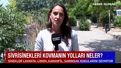 Télécharger la video: Tapuda yeni dönem bugün başlıyor! Noterden gayrimenkul satışı nasıl olacak?