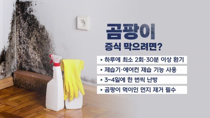 꿉꿉한 장마철, 곰팡이 습격을 막는 방법은? [앵커리포트] / YTN