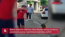 Yılanlar arttı, uyarı geldi! Evlerin etrafına kükürt dökün