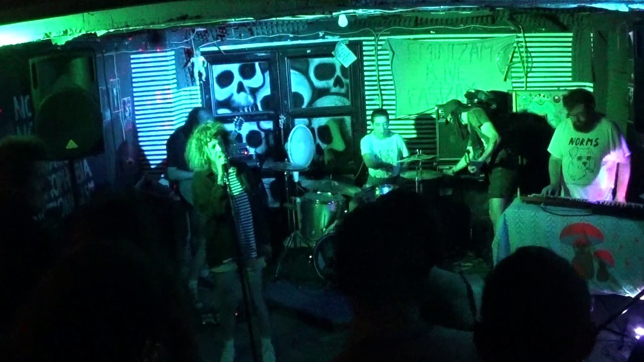 Palánta @ Podrum