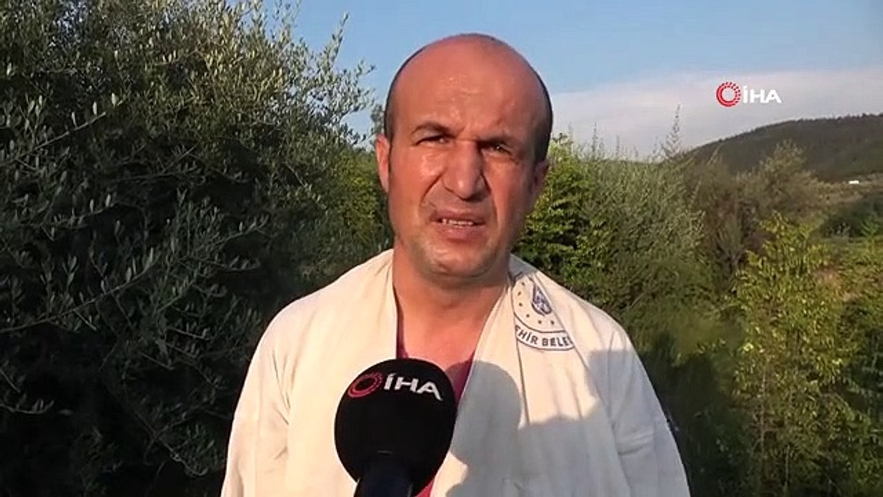 Interessanter Diebstahl in Bursa... Sie haben die Bienen mit ihren Bienenstöcken gestohlen