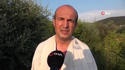 Interessanter Diebstahl in Bursa... Sie haben die Bienen mit ihren Bienenstöcken gestohlen