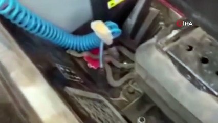 Tarlada çalışan traktöre giren yılan korku dolu anlar yaşattı