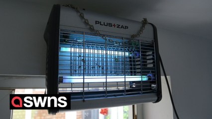 "Our homes have been invaded by swarms of flies - they crawl over us in our sleep"