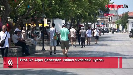 Prof. Dr. Şener'den 'istilacı sivrisinek' uyarısı