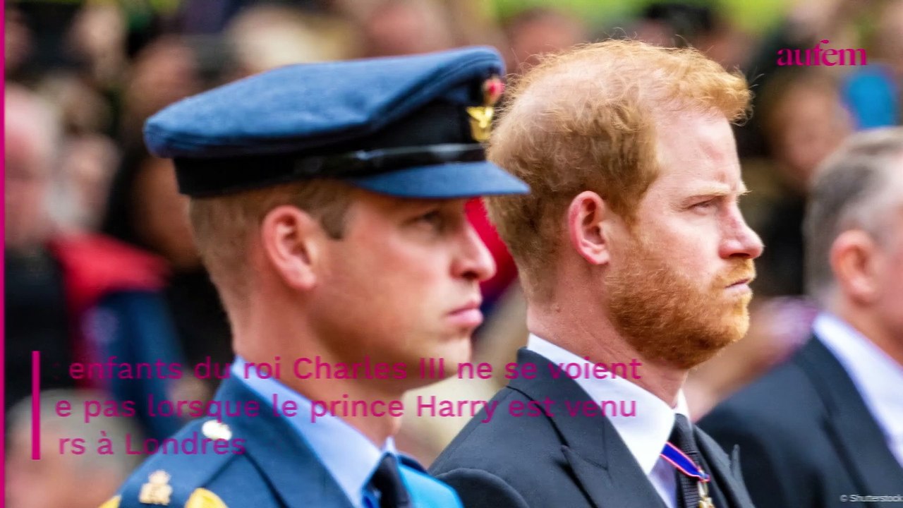 Le prince William dans une colère noire à cause de Meghan et Harry