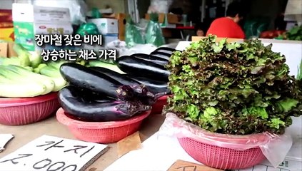[사진구성] 장마철 잦은 비에 상승하는 채소 가격 外