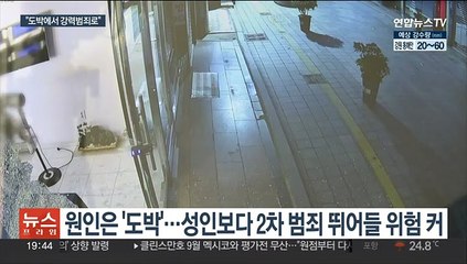 [청소년도박③] 청소년 도박 '범죄 온상' 될라…"전문적 개입 필요"