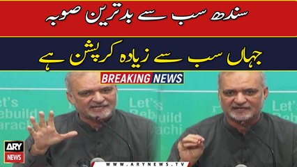 Hafiz Naeem demands cancellation of power utility license
