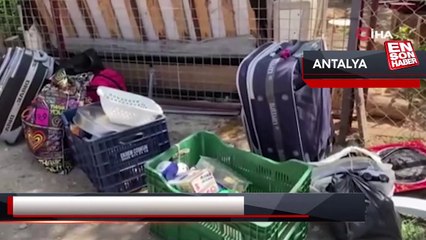 Kaçak gecekondu yıkımında zabıtanın Türk bayrağı hassasiyeti