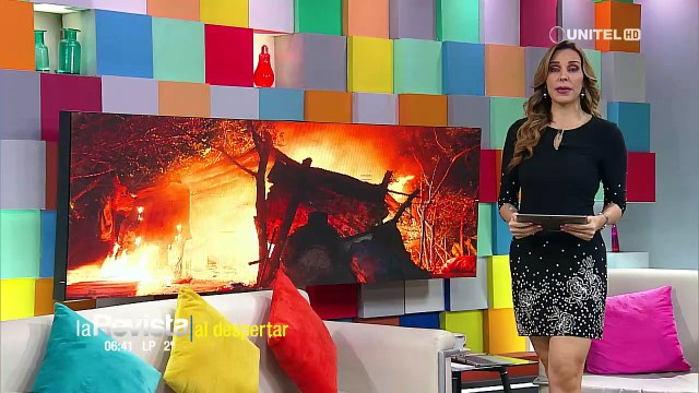“Con lo que roban se construyeron casas”: Vecinos piden patrullaje tras destrucción de refugios de antisociales en el Plan 3.000