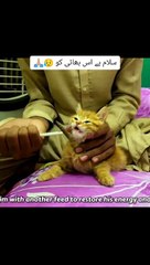 Chota cat kids kese zida bacha best video
