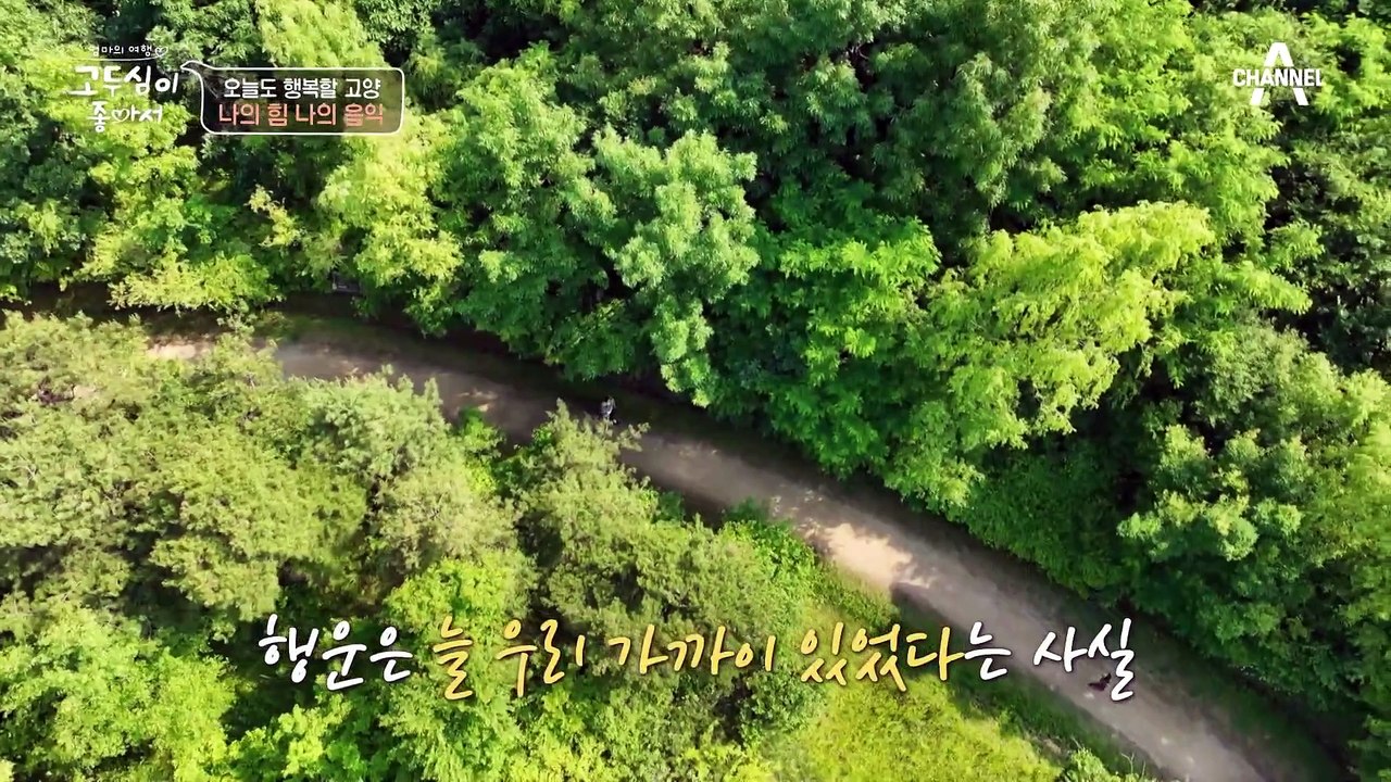 행운의 상징 '네잎클로버'를 찾아라! 두심의 손안에 행운이 가득♥