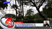 Umatake at nagtangkang manghalay sa U.P. Student, kilala na umano ng pulisya | 24 Oras