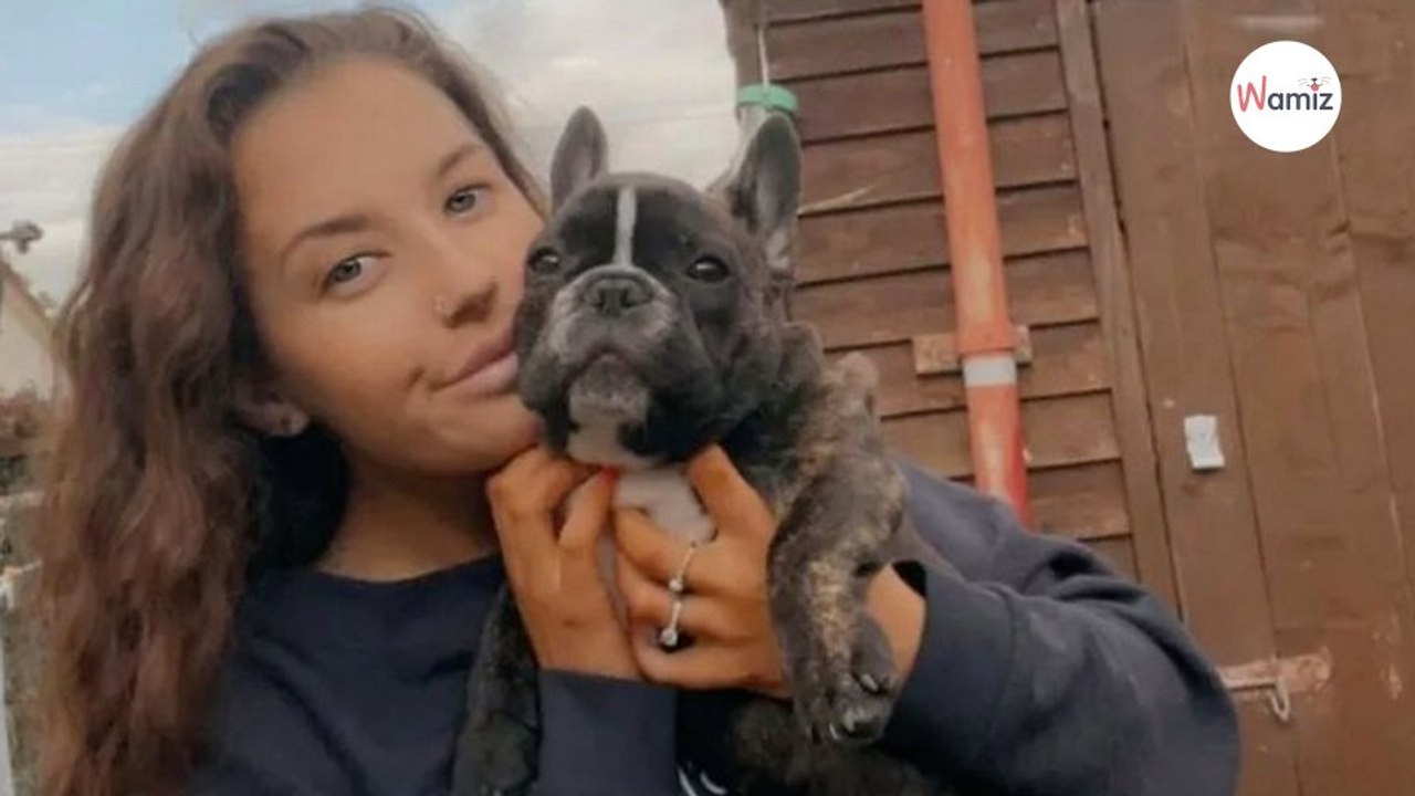 Ses chiens jouent dans le jardin  en 15 minutes une terrible tragédie s'abat sur toute la famille