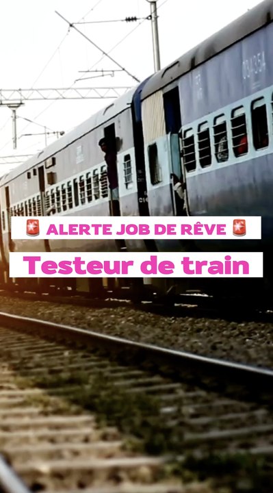 Meilleure job d’été : Fais toi payer 600€ pour voyager en train !! 
