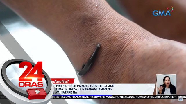 Hiker, inatake ng mga linta o 'limatik' nang akyatin ang Mt. Labi sa Nueva Ecija | 24 Oras