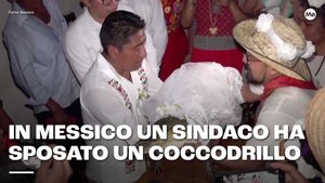 In Messico un sindaco ha sposato un coccodrillo