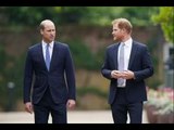 Harry snobe le prince William dans une déclaration quelques jours seulement après la réunion caritat