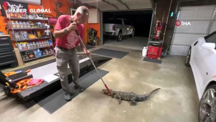 Köpeği fark etti: Evin içinde 2 metrelik timsahla karşılaşan adam, neye uğradığını şaşırdı