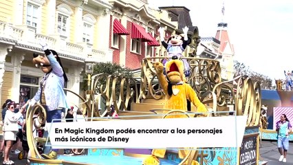 Compañeros de viaje | Disney World