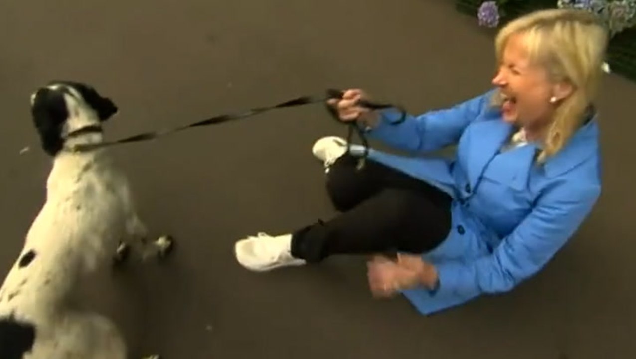 BBC weather presenter dragged away by dog live on air for second time