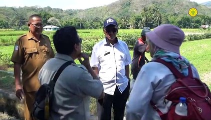 Upaya Kementan Menekan Potensi Kekeringan