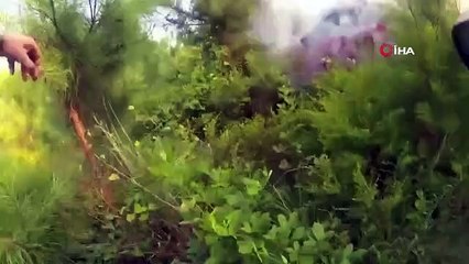 Le conducteur du véhicule qui a pris feu aux États-Unis a été secouru