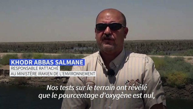 Irak: des milliers de poissons morts échoués sur les bords d'une rivière