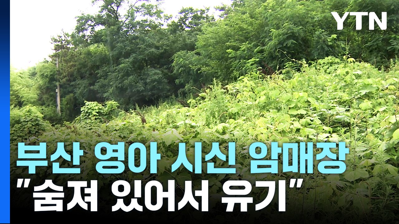 2015년 생후 8일 된 영아 암매장..."숨져 있어서 유기" / YTN
