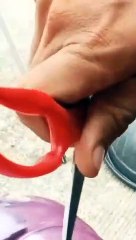 SURAT VIDEO/ सोसायटियों में सांप निकलने से मची अफरा-तफरी