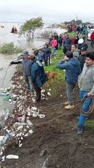 Fishing Boats Rescue Livestock Trapped By Flooding