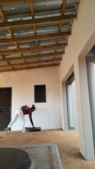 Chicken Chases Screaming Woman