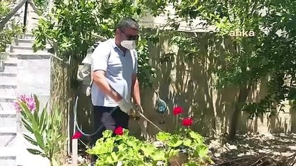 prof. Dr. Durmuşoğlu： ＂Des pluies excessives en mai et juin ont augmenté les habitats des moustiques, une population bien supérieure à la normale...