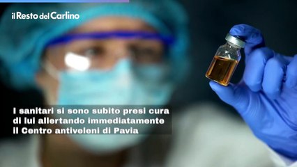 Morso da una vipera a San Marino: cosa ? successo