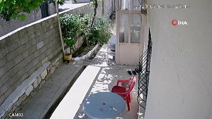 Il a survécu à l'attaque de son neveu en faisant semblant d'être "mort"... Ces moments ont été filmés.