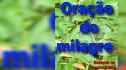 Oração do milagre. Deus é Fiel.
