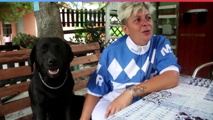 Una vita sussurrando ai cavalli: ecco il mondo delle scuderie