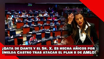 Descargar video: ¡VEAN! ¡Gata de Dante y el Sr. X. Es hecha añicos por Imelda Castro tras atacar el ‘plan b’ de AMLO!