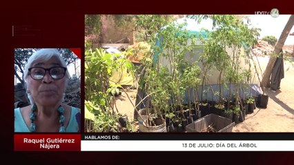 13 de Julio: Día del árbol | Raquel Gutiérrez Nájera
