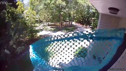 Un enfant frappe sur une caméra de sécurité avec un filet de piscine