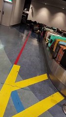 Sacs sauvegardés à l'aéroport d'Auckland Viralhog