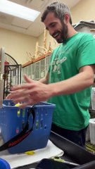 L'homme a une conversation amusante avec un perroquet